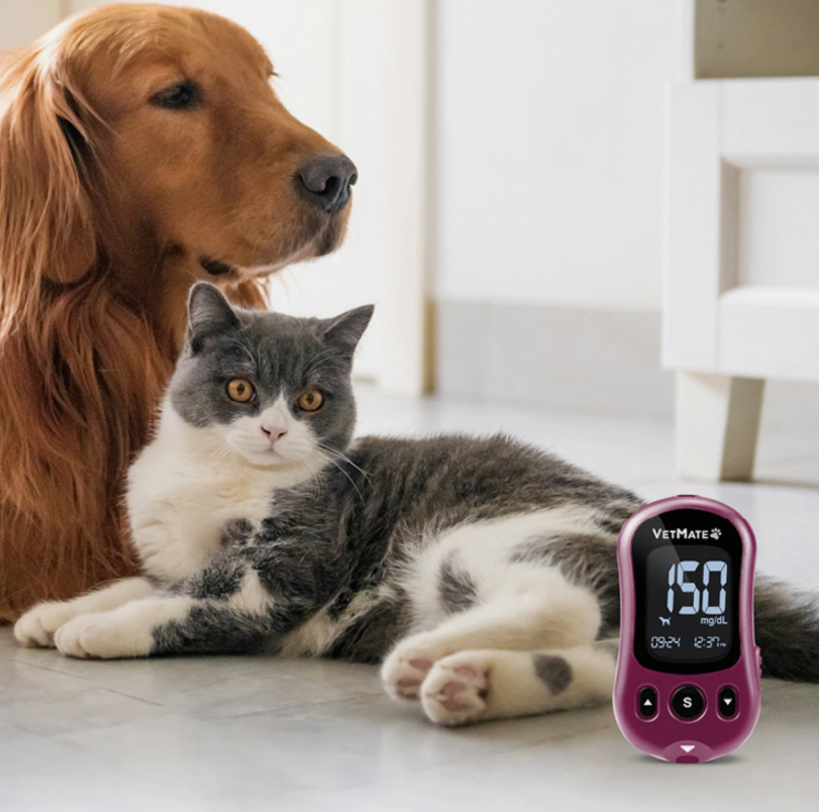VETMATE für Diabetiker Blutzuckermessgerät Messsystem für Hund Haustier Katze...