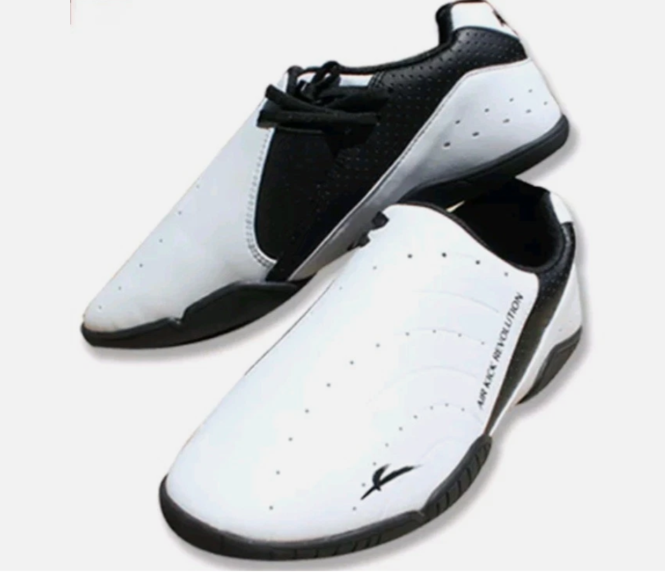 AIR Martial arts shoes/Footwear/Indoor trainning shoe/INNAE Style/Made in Korea