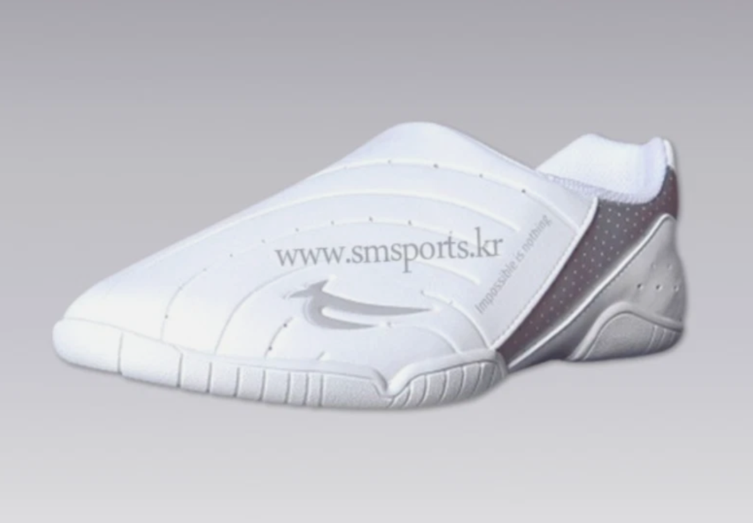 AIR Martial arts shoes/Footwear/Indoor trainning shoe/INNAE Style/Made in Korea